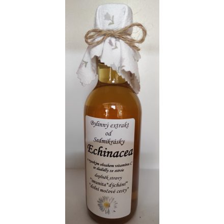 Foto - Echinacea