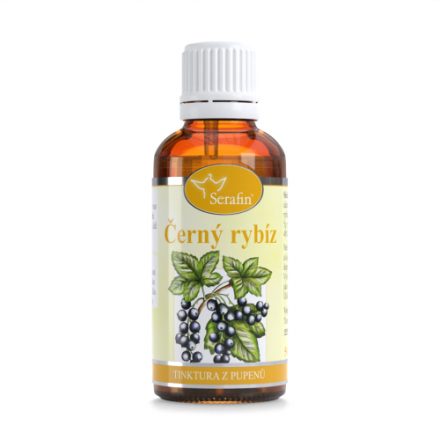 Foto - Černý rybíz - Serafin