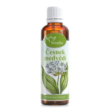 Foto - Medvědí česnek - Serafin