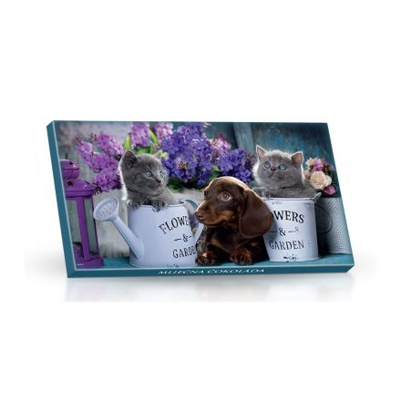 Foto - Mléčná čokoláda 50g - Pejsek a kočičky