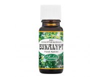 Eukalyptus