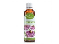 Echinacea - Serafin