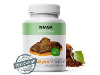 Chaga