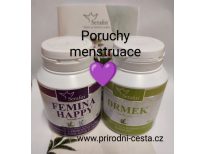 Porucha menstruace kúra