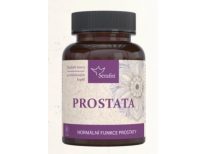 Prostata