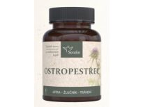 Ostropestřec